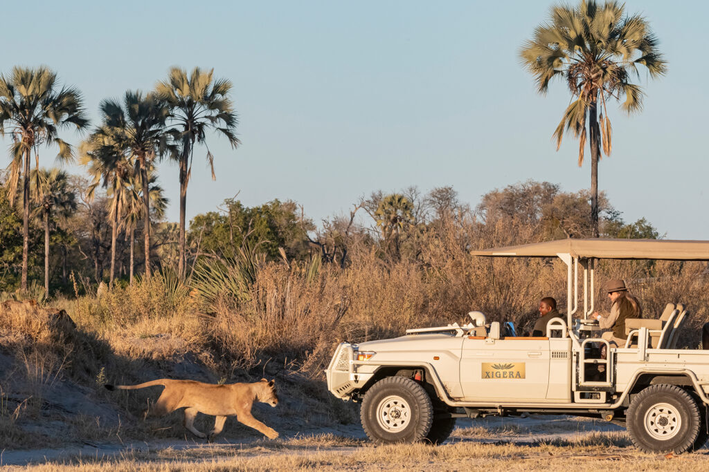 xigera-safari-lodge-red-carnation-reserve-de-moremi-au-botswana-15
