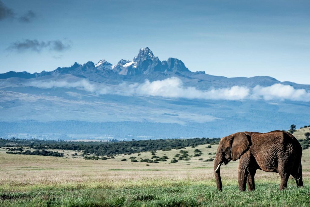 domaine-de-lengishu-mont-kenya-safari-dans-la-reserve-de-borana-17