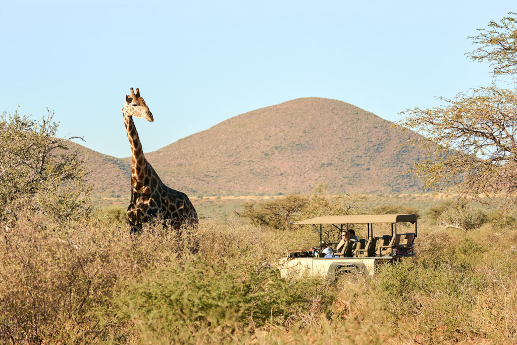 hotel-tswalu-kalahari-safari-de-luxe-en-afrique-du-sud-7