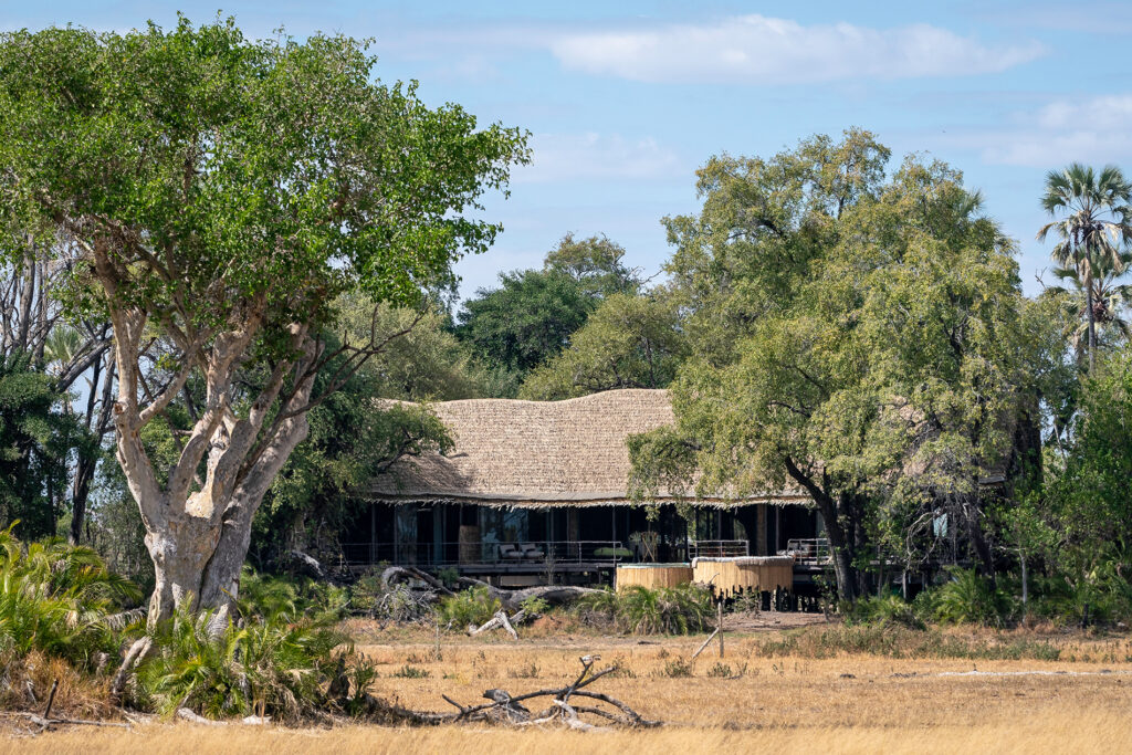 jao-camp-safari-de-luxe-au-botswana-reserve-moremi-15
