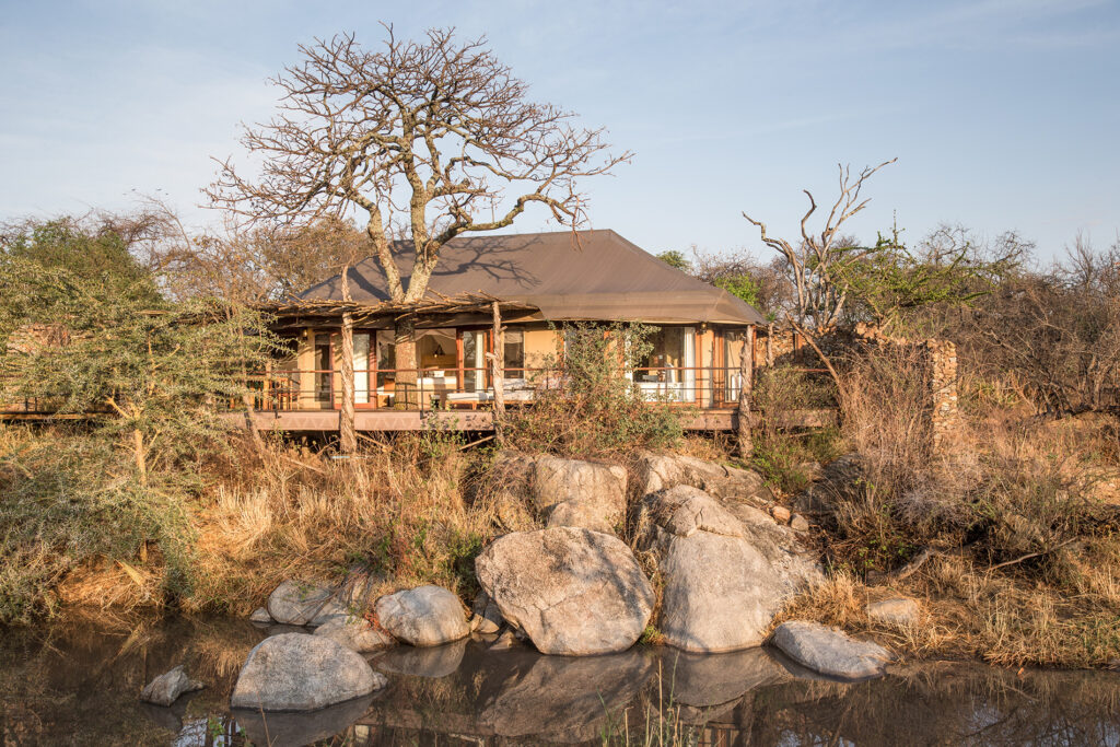 mwiba-lodge-parc-serengeti-safari-de-luxe-en-tanzanie-17