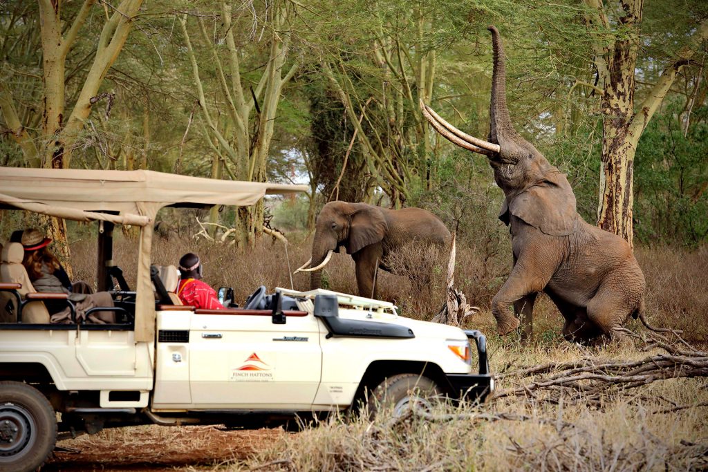finch-hattons-lodge-parc-de-tsavo-au-kenya-mont-kilimandjaro-safari-de-luxe-11