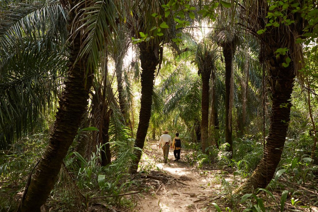 casa-caiman-pantanal-bresilien-bresil-23