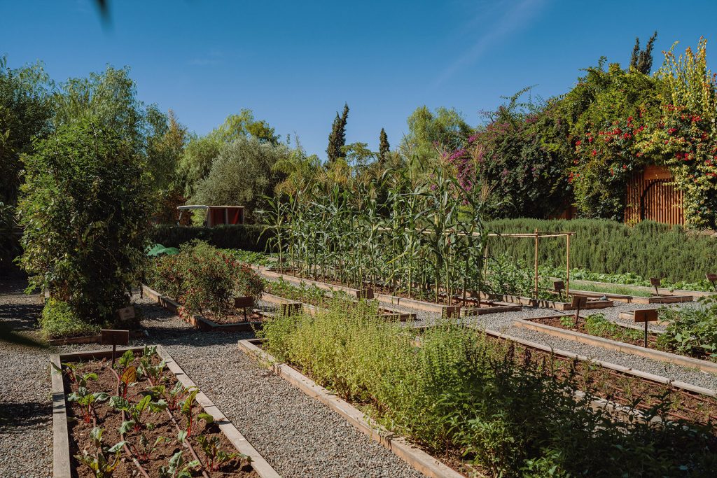 hotel-mandarin-oriental-marrakech-voyage-de-luxe-au-maroc-5