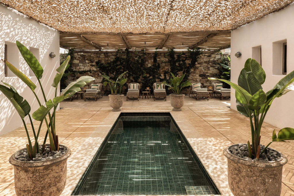 the-rooster-antiparos-baie-de-livadia-grece-9