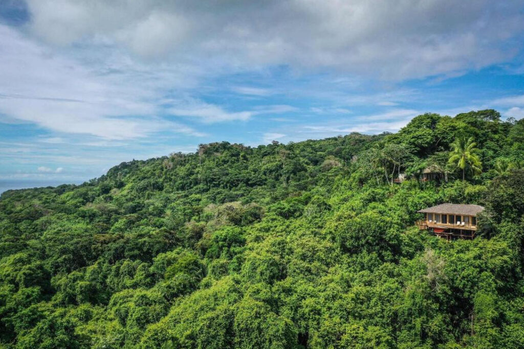 lapas-rio-lodge-peninsule-d-osa-costa-rica-_0008_Calque 5