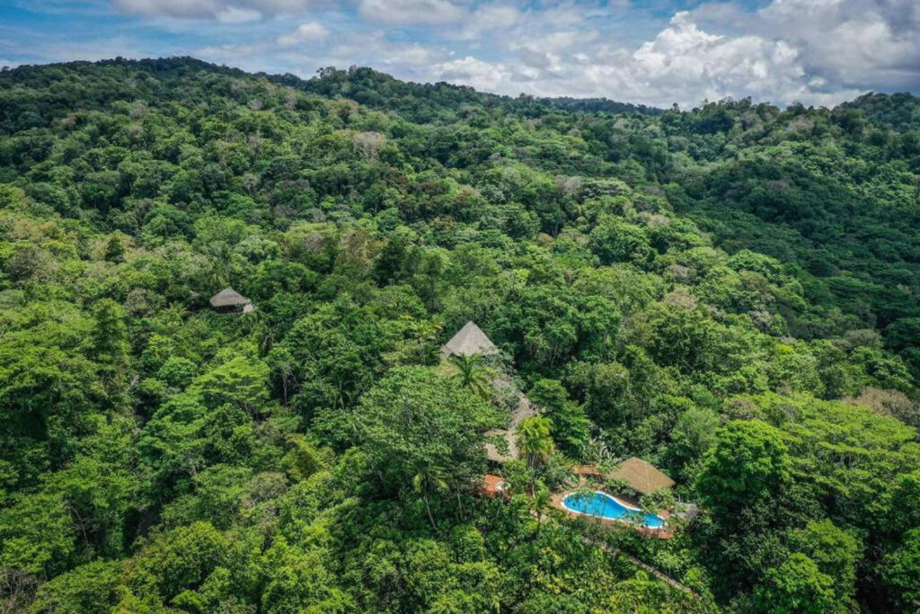 lapas-rio-lodge-peninsule-d-osa-costa-rica-_0009_Calque 4