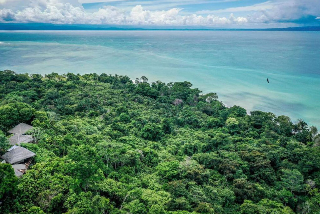 lapas-rio-lodge-peninsule-d-osa-costa-rica-_0011_Calque 2