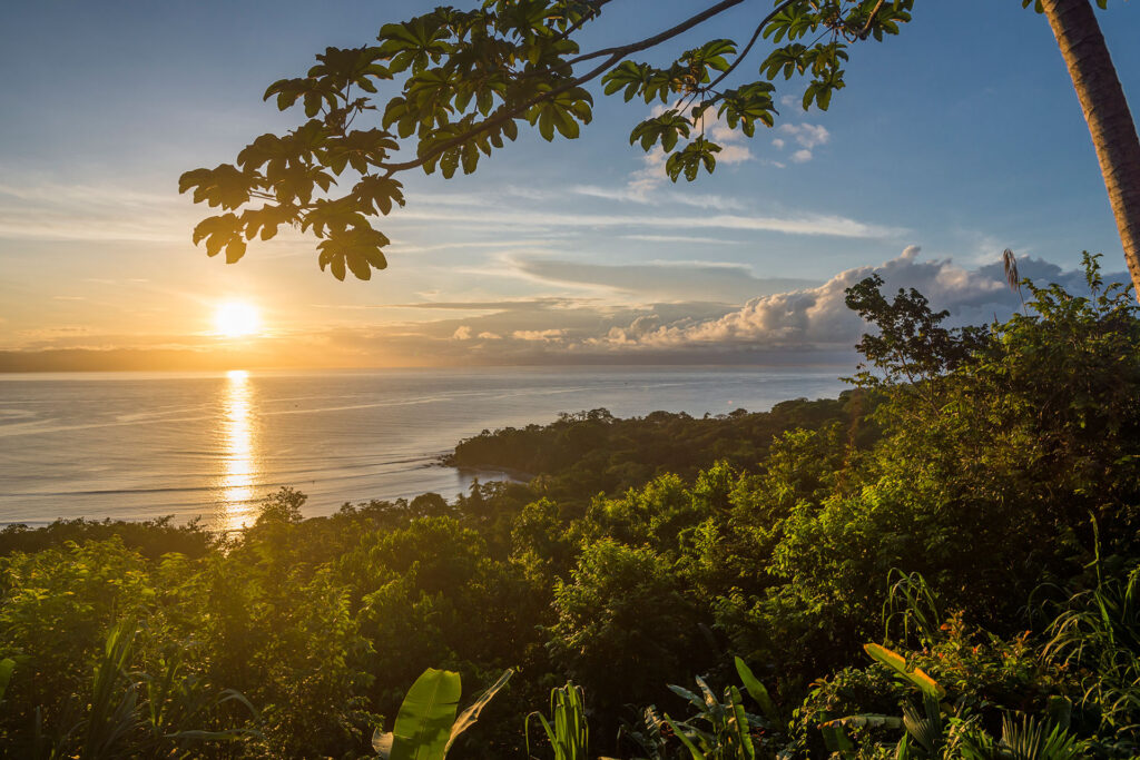 lapas-rio-lodge-peninsule-d-osa-costa-rica-b-_0001_20141123_laparios_257