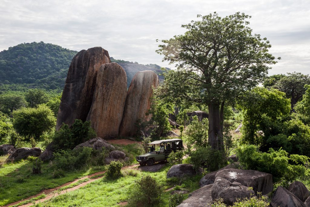 jabali-ridge-parc-national-de-ruaha-en-tanzanie-safari-de-luxe_0005_Jabali-Ridge-Game-Drive-landscape