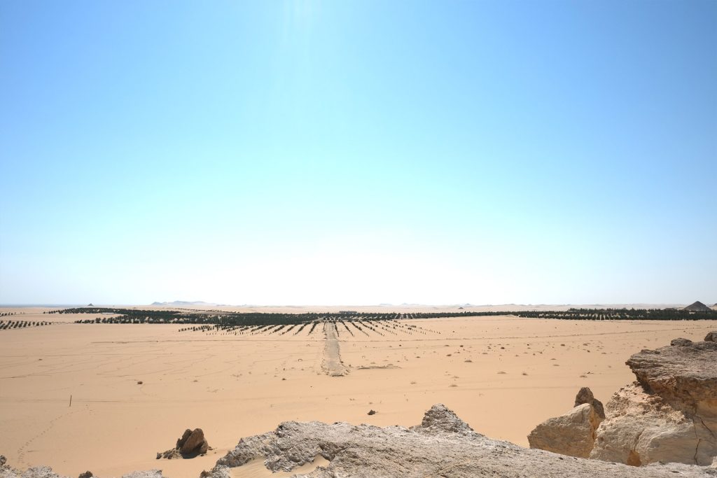 kazazian-siwa-au-coeur-de-loasis-de-siwa-egypte-2